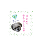僕たち出番です！！（個別スタンプ：25）