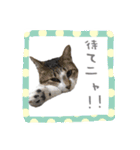 僕たち出番です！！（個別スタンプ：26）