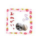 僕たち出番です！！（個別スタンプ：27）