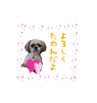 僕たち出番です！！（個別スタンプ：28）