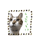 僕たち出番です！！（個別スタンプ：29）