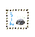 僕たち出番です！！（個別スタンプ：30）