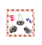 僕たち出番です！！（個別スタンプ：32）