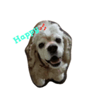 paco the lovely amecokka(^-^)（個別スタンプ：8）