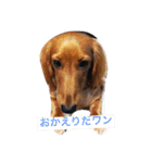 モカとコロン（個別スタンプ：2）