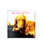 モカとコロン（個別スタンプ：5）
