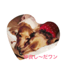 モカとコロン（個別スタンプ：6）
