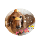 モカとコロン（個別スタンプ：27）