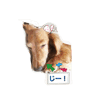 モカとコロン（個別スタンプ：39）