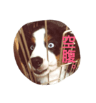 もなふく（個別スタンプ：3）
