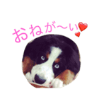 もなふく（個別スタンプ：5）