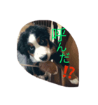 もなふく（個別スタンプ：7）