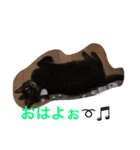 日常使うシリーズ01（個別スタンプ：6）