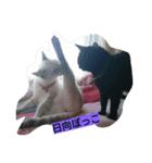 うちの可愛い子供達です（個別スタンプ：32）