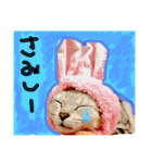 こむぎとこまち★（個別スタンプ：9）