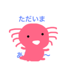 ウーパールーパーの毎日（個別スタンプ：6）