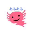 ウーパールーパーの毎日（個別スタンプ：19）