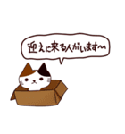 猫の楽しい旅 日本語（個別スタンプ：12）