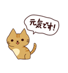 猫の楽しい旅 日本語（個別スタンプ：19）