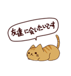 猫の楽しい旅 日本語（個別スタンプ：26）