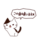 猫の楽しい旅 日本語（個別スタンプ：37）