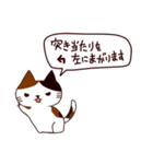 猫の楽しい旅 日本語（個別スタンプ：39）