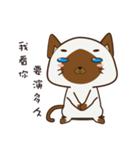 Little Siamese（個別スタンプ：1）