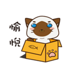 Little Siamese（個別スタンプ：3）