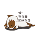 Little Siamese（個別スタンプ：4）