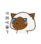 Little Siamese（個別スタンプ：6）