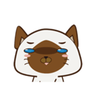 Little Siamese（個別スタンプ：7）
