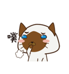 Little Siamese（個別スタンプ：12）