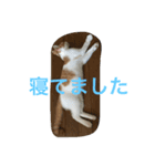 うちのケビン2（個別スタンプ：2）