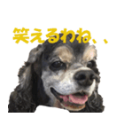 My lovely Lion Vol.1 re-make（個別スタンプ：5）