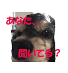 My lovely Lion Vol.1 re-make（個別スタンプ：8）