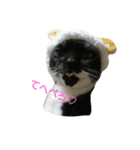 リアルうちのにゃんこ（個別スタンプ：18）