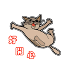 The QQcat's life（個別スタンプ：5）