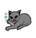 The QQcat's life（個別スタンプ：11）
