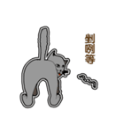 The QQcat's life（個別スタンプ：15）
