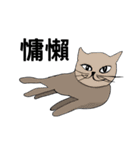 The QQcat's life（個別スタンプ：18）