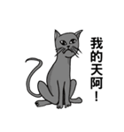 The QQcat's life（個別スタンプ：19）