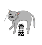 The QQcat's life（個別スタンプ：20）