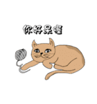 The QQcat's life（個別スタンプ：21）