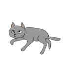 The QQcat's life（個別スタンプ：23）