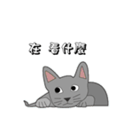 The QQcat's life（個別スタンプ：25）