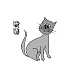 The QQcat's life（個別スタンプ：31）