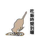The QQcat's life（個別スタンプ：33）