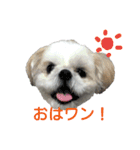 我が家のライムたん（個別スタンプ：2）
