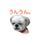 我が家のライムたん（個別スタンプ：8）