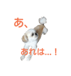 我が家のライムたん（個別スタンプ：13）